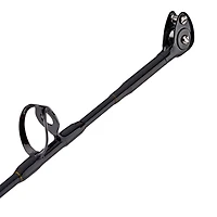 PENN Squall II 60 Lever Drag Combo