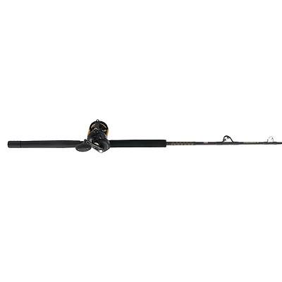 PENN Squall II 60 Lever Drag Combo
