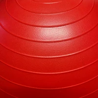 Lifeline 55 cm Exercise Ball