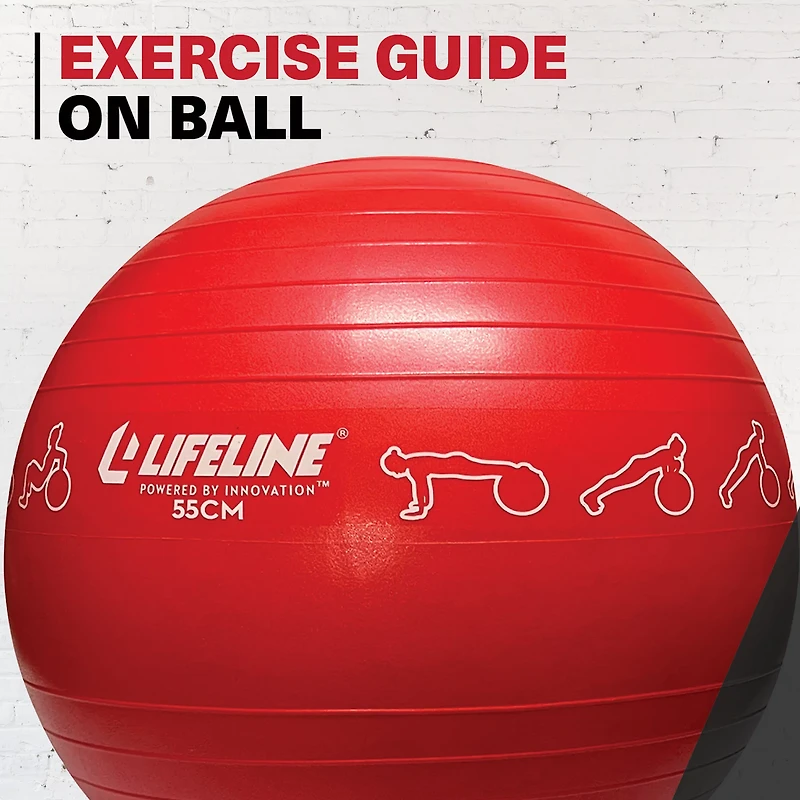 Lifeline 55 cm Exercise Ball