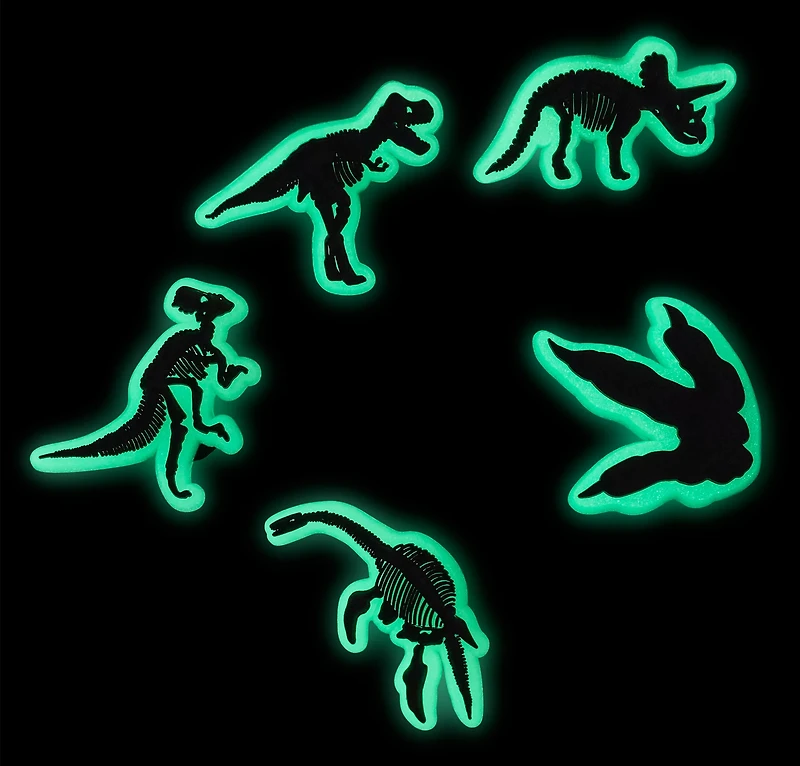 Crocs Glow In The Dark Dino Jibbitz 5-Pack