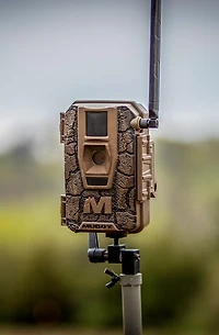 Muddy Mitigator 2.0 3-Pack Trail Cameras