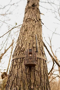 Muddy Mitigator 2.0 3-Pack Trail Cameras