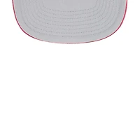 '47 St Louis Cardinals Fiji Trucker Adjustable Hat