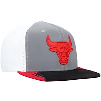Mitchell  Ness / Chicago Bulls Day 5 Snapback Hat