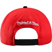Mitchell  Ness Black Detroit Wings May Flowers Pro Crown Adjustable Hat