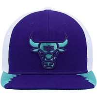 Mitchell Ness / Chicago Bulls Day 5 Snapback Hat