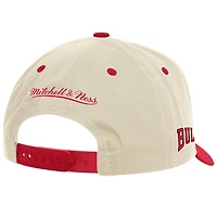 Mitchell  Ness Chicago Bulls Game On Two-Tone Pro Crown Adjustable Hat