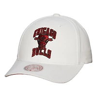 Mitchell  Ness Chicago Bulls Hardwood Classics All In Retro Snapback Hat