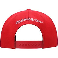 Mitchell  Ness Philadelphia 76ers Hardwood Classics Essentials Tonal Basic Snapback Hat