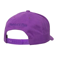 Mitchell  Ness Phoenix Suns Washed Out Tonal Logo Snapback Hat