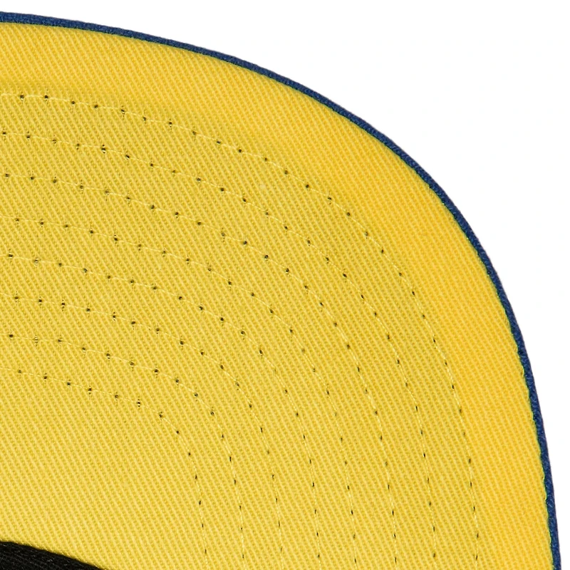 Mitchell Ness Royal Detroit Tigers Hometown Snapback Hat