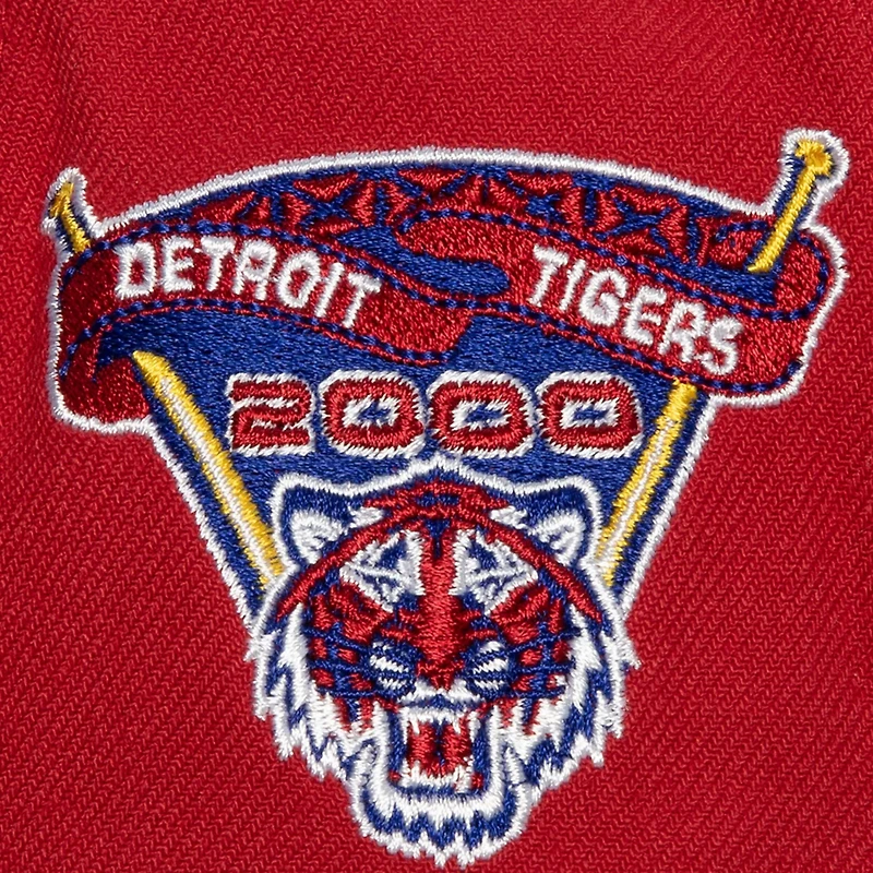 Mitchell Ness Royal Detroit Tigers Hometown Snapback Hat