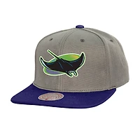 Mitchell  Ness Tampa Bay Rays Cooperstown Collection Basic Flip Snapback Hat