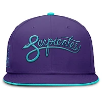 Nike Arizona Diamondbacks 2025 City Connect True Performance Fitted Hat