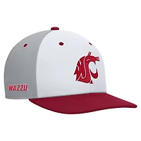 Nike Gray Washington State Cougars Pro Performance Snapback Hat