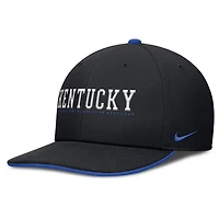 Nike Kentucky Wildcats 2025 On-Field Pro Performance Adjustable Hat