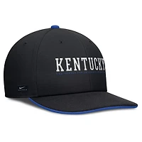 Nike Kentucky Wildcats 2025 On-Field Pro Performance Adjustable Hat