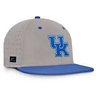 Nike Kentucky Wildcats On-Field Dugout True Performance Fitted Hat