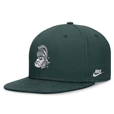 Nike Michigan State Spartans Legacy True Fitted Hat
