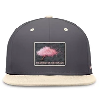 Nike Washington Nationals City Connect True Fitted Hat