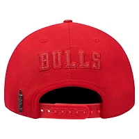 Pro Standard Chicago Bulls Triple Tonal Snapback Hat