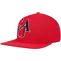 Pro Standard Clark Atlanta Panthers Arch Over Logo Evergreen Snapback Hat
