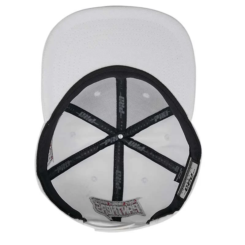 Pro Standard Clark Atlanta University Panthers Mascot Evergreen Wool Snapback Hat