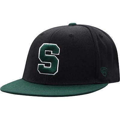 Top of the World /Green Michigan State Spartans Team Color Two-Tone Fitted Hat