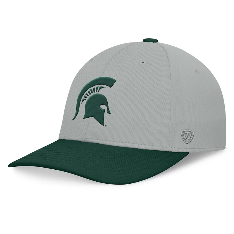 Top of the World / Michigan State Spartans Mick Flex Hat