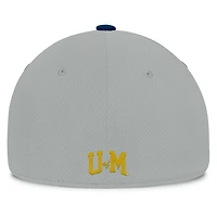 Top of the World / Michigan Wolverines Mick Flex Hat