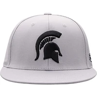 Top of the World Michigan State Spartans Fitted Hat