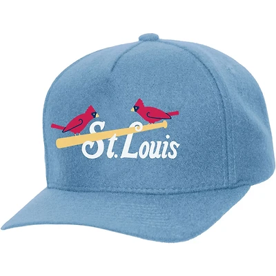 Unisex Mitchell  Ness St Louis Cardinals Basic Coop Pro Adjustable Hat