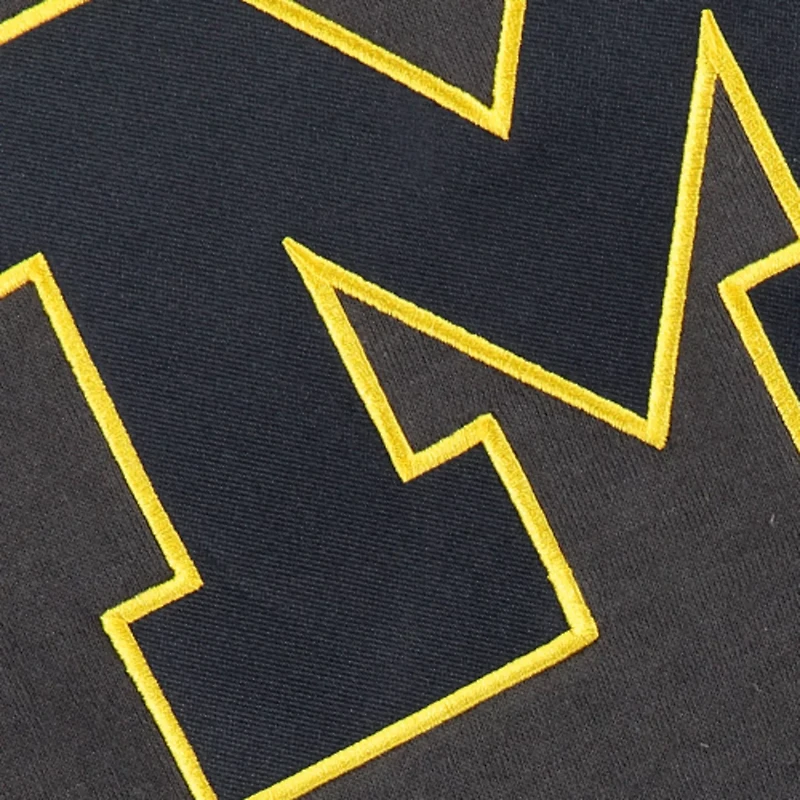 Youth Stadium Athletic Michigan Wolverines Big Logo Pullover Hoodie