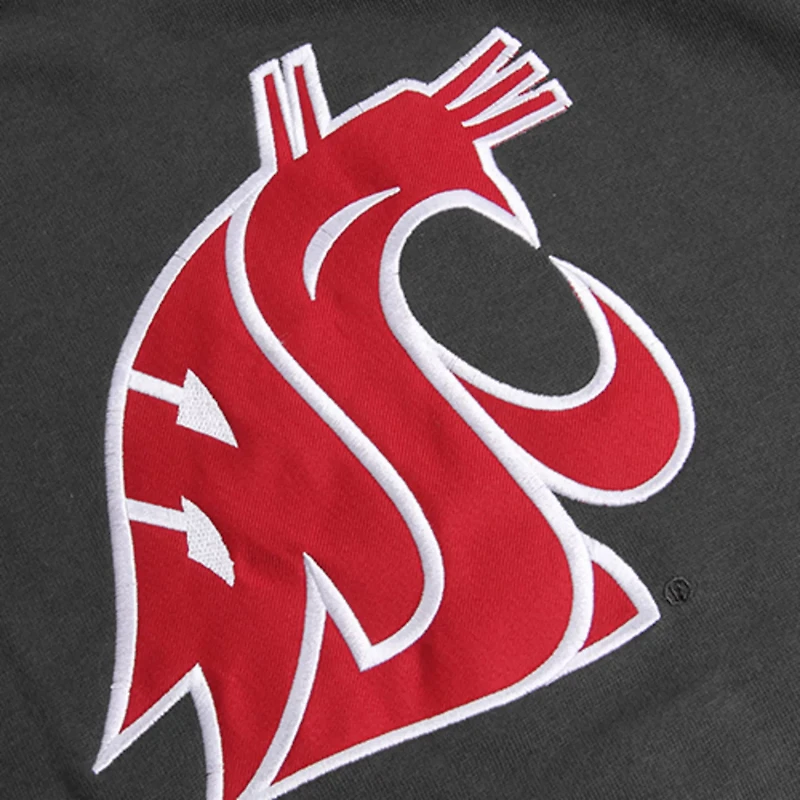 Youth Stadium Athletic Washington State Cougars Big Logo Pullover Hoodie