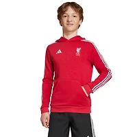 adidas Liverpool DNA Hoodie