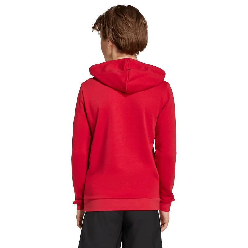 adidas Liverpool DNA Hoodie