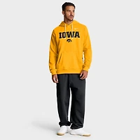 Nike Iowa Hawkeyes 2025 Sideline Standard Issue Dri-FIT Hoodie