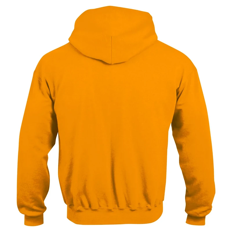 Youth Champion Arizona State Sun Devils Campus Pullover Hoodie