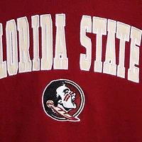 Youth Colosseum Florida State Seminoles 2-Hit Team Pullover Hoodie
