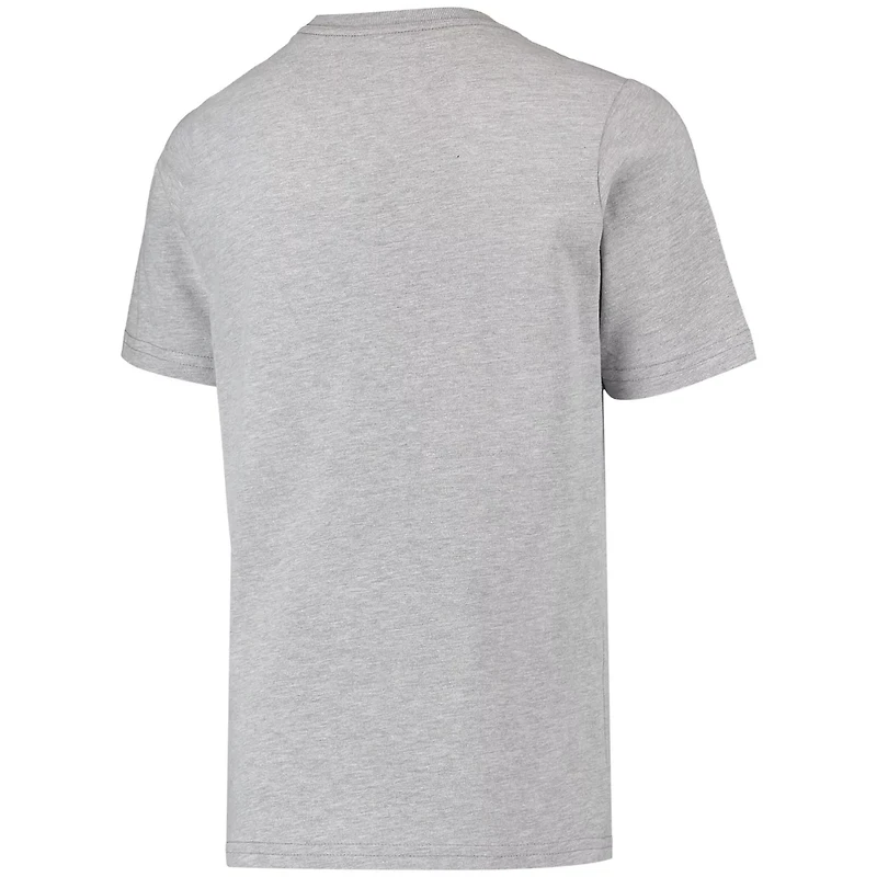 Youth Mitchell Ness Drazen Petrovic Heathered Gray New Jersey Nets Hardwood Classics King of the Court Player T-Shirt