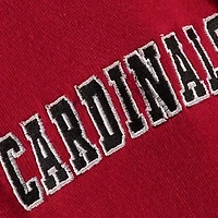 Youth Stadium Athletic Louisville Cardinals Big Logo Pullover Hoodie