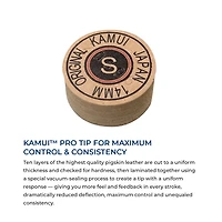 Lucasi 2-Piece Hyrid Pool Cue