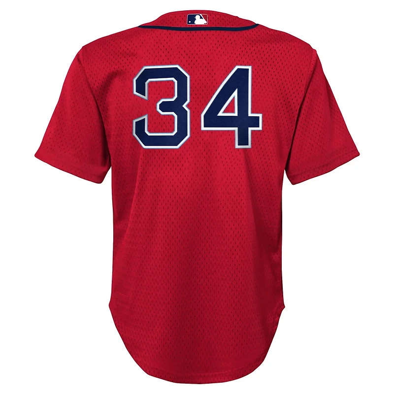 Mitchell  Ness David Ortiz Boston Sox Cooperstown Collection Mesh Batting Practice Jersey