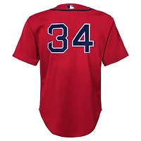 Mitchell  Ness David Ortiz Boston Sox Cooperstown Collection Mesh Batting Practice Jersey