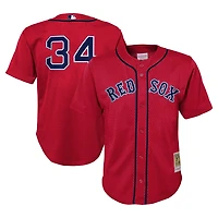 Mitchell  Ness David Ortiz Boston Sox Cooperstown Collection Mesh Batting Practice Jersey