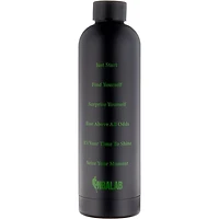 Blacc Bottle Boston Celtics 25oz Stainless Steel Water Bottle