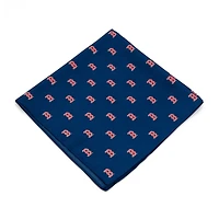 Boston Sox Kerchief Pocket Square