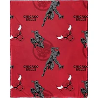 Northwest x Disney Chicago Bulls Panther Hugger Pillow  Throw Blanket Set