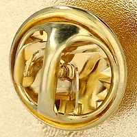 Team USA Paris 2024 Summer Olympics Coin Lapel Pin